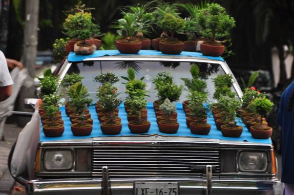 Um carro com uma função muito mais nobre, em La Condesa, charmoso bairro da Cidade do México, capital do país